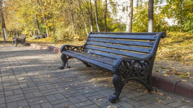 Sonbahar Park düşen yapraklar ile tezgah