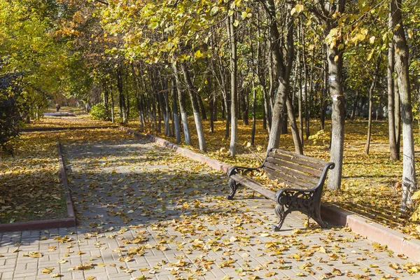 Sonbahar Park düşen yapraklar ile tezgah — Stok fotoğraf