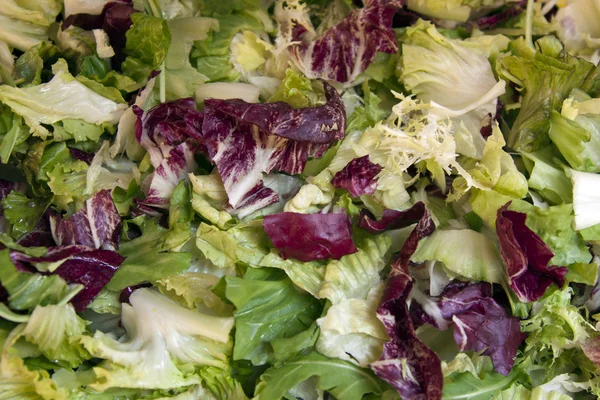 Mix of various grades of salad on a market counter — Stock Photo, Image