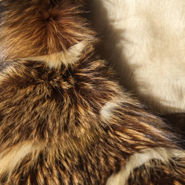 Bir tilki kürk ürün