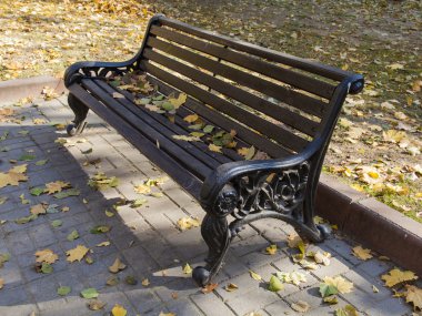 Sonbahar Park düşen yapraklar ile tezgah