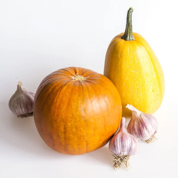 Duas abóboras, laranja e amarela, e alho — Fotografia de Stock