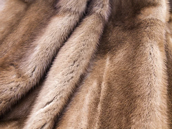 Tekstura futra norek kolor pastelowy — Zdjęcie stockowe