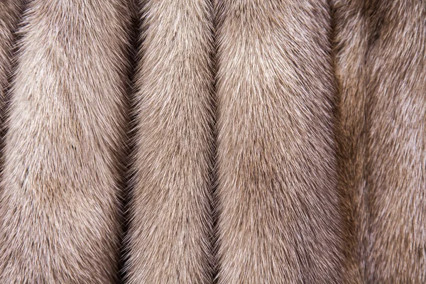 パステル カラーのミンクの毛皮の質感 — ストック写真