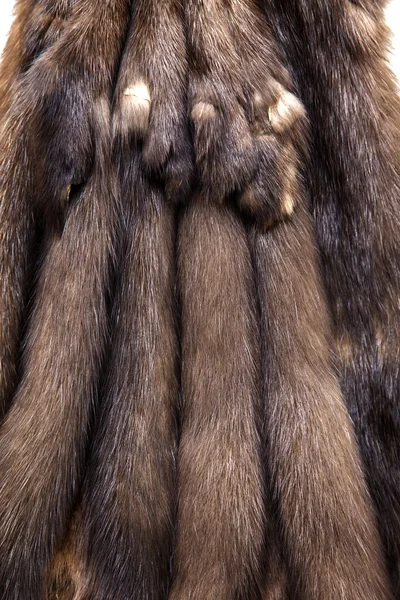 Die Häute eines Zobels, der für die Schneiderei eines Produkts vorbereitet wurde — Stockfoto