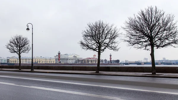 Санкт-Петербург, Російська Федерація, на 3 листопада 2014 року. Урбаністичного вигляду в день осені. Панорама набережної річки Неви — стокове фото