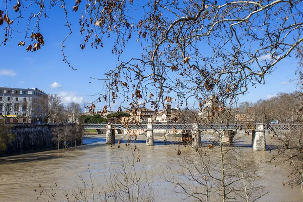 Ρώμη, Ιταλία, στις 25 Φεβρουαρίου 2010. Μια άποψη των αναχωμάτων του Τίβερη και τη γέφυρα μέσα από το ποτάμι — Φωτογραφία Αρχείου