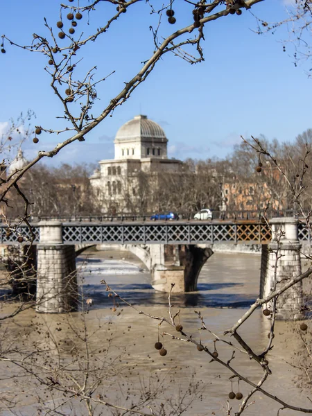 Roma, Itália, em 25 de fevereiro de 2010. Uma vista de aterros de Tibre e a ponte através do rio — Fotografia de Stock