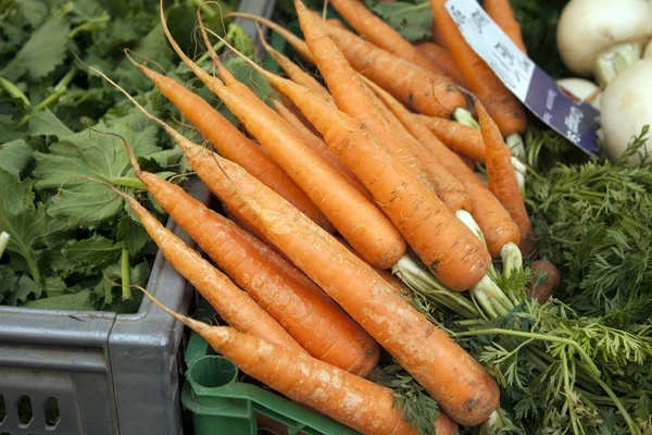 Des grappes de carottes fraîches sur un comptoir du marché — Photo