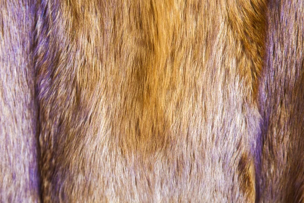 Textur des Fells eines Rotfuchses — Stockfoto