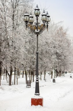 Pushkino, Rusya, 4 Ocak 2011 tarihinde. Kış city. Bulvarı. Tarafından kar getirdi lamba