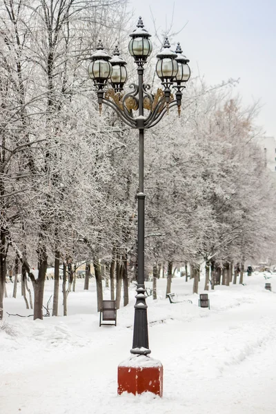普希金诺，俄罗斯，在 2011 年 1 月 4 日。在这个城市的冬天。林荫大道。带来的雪灯 — 图库照片