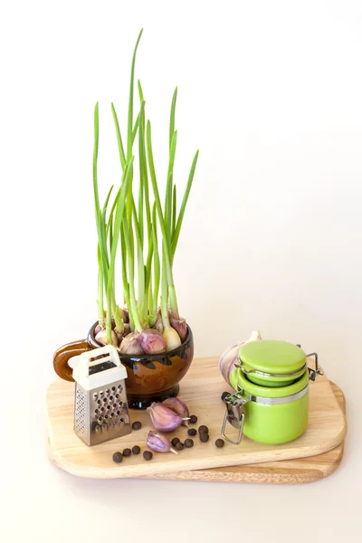 Garlic and sprouts of garlic for salad cooking — Stock Photo, Image