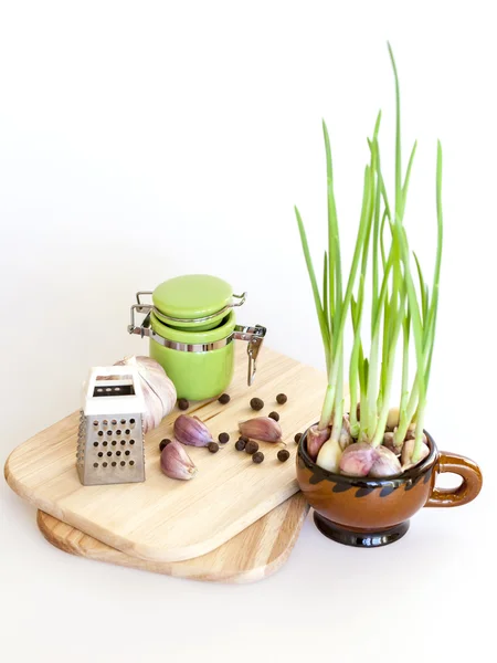 Knoflook en spruiten van knoflook voor salade koken — Stockfoto