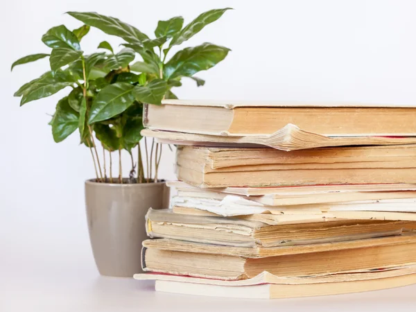 Pile of old vintage books — Stock Photo, Image