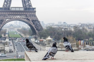 27 Mart 2011 tarihinde, Paris, Fransa. Eyfel Kulesi bir şehir manzarası.