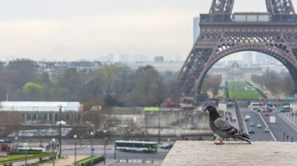 Париж, Франция, 27 марта 2011 года. Городской пейзаж с Эйфелевой башней . — стоковое фото