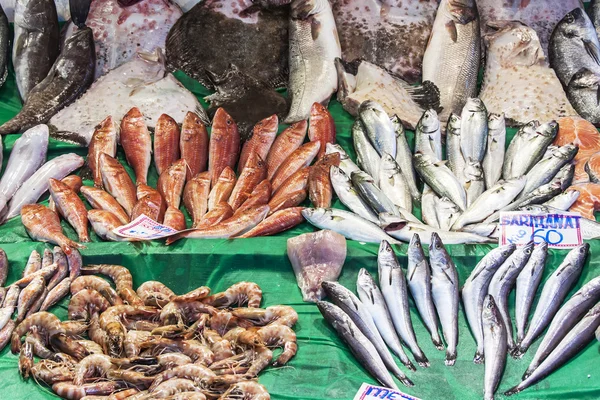 Friss tengeri halakat a pultra, a piac, a mediterrán város — Stock Fotó