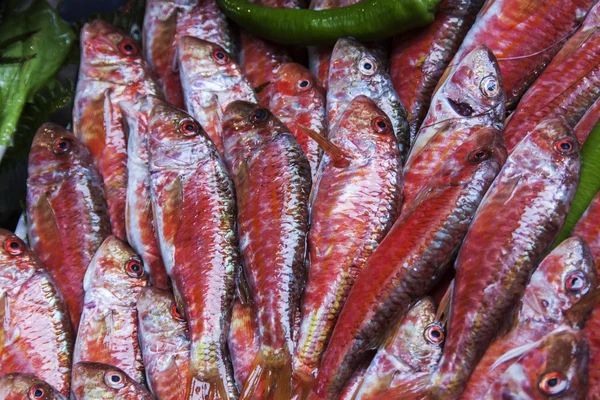 Peixe-marinho fresco num balcão do mercado da cidade mediterrânica — Fotografia de Stock