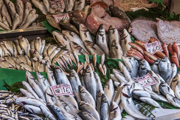 Peixe-marinho fresco num balcão do mercado da cidade mediterrânica — Fotografia de Stock