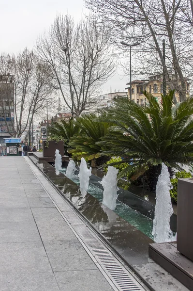 Istanbul, Turkiet. April 28, 2011. Typiska stadslandskapet. Exotiska växter på gatan — Stockfoto