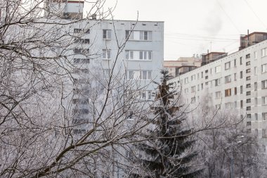 Kış city ve karla kaplı ağaçlar penceresinde göster