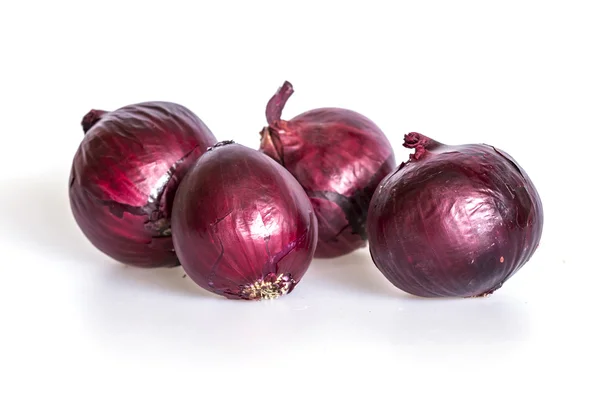 Большие луковицы красного цвета — стоковое фото