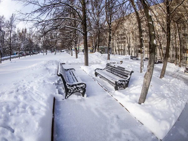 普希金诺，俄罗斯，在 2015 年 1 月 26 日。冬季城市景观建设的鱼眼视图。林荫大道和雪下的长凳上 — 图库照片