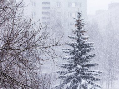 Pushkino, Rusya, kış manzarası