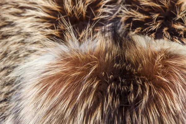 Textura de um produto de pele de uma raposa — Fotografia de Stock
