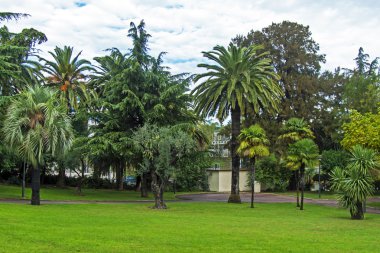 Köşede park Akdeniz