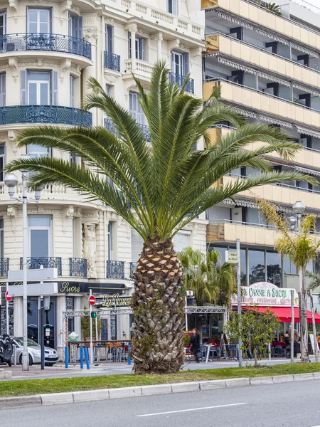 Nice, France, le 13 mars 2015. La vue sur la Promenade des Anglais, l'un des plus beaux remblais d'Europe — Photo