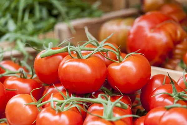 Tomates frescos maduros en un mostrador de mercado — Foto de Stock