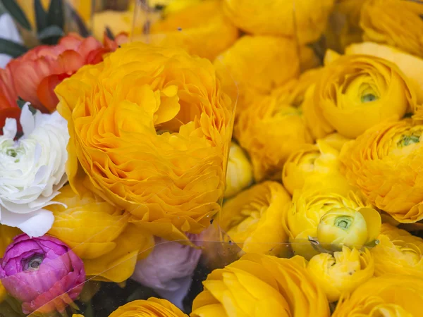 Bouquet of various flowers — Stock Photo, Image