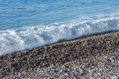 Yalı. Satır bir sörf.