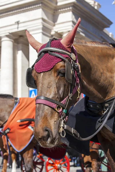 Roma, Itália, em 6 de março de 2015. Um veículo a cavalo na rua da cidade, uma atração turística — Fotografia de Stock