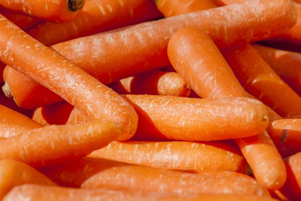 Carottes fraîches sur un comptoir du marché — Photo