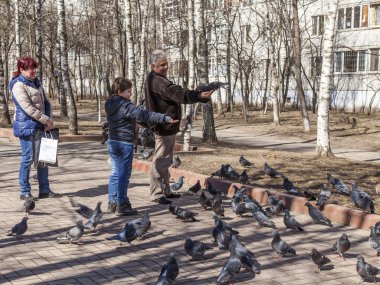 Pushkino, Rusya, 11 Nisan 2015 tarihinde. İnsanlar güvercinler Bulvarı'nda güneşli bahar öğleden sonra besleme