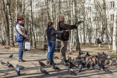 Pushkino, Rusya, 11 Nisan 2015 tarihinde. İnsanlar güvercinler Bulvarı'nda güneşli bahar öğleden sonra besleme