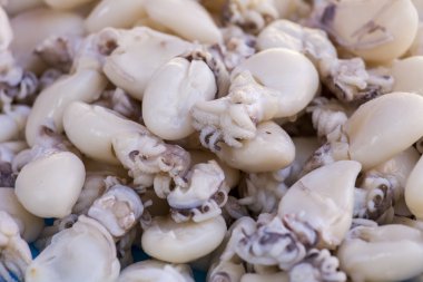 Balık pazarının bir sayaçta taze deniz ürünleri