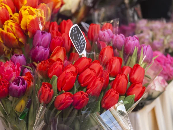 Venda de várias flores no mercado de flores — Fotografia de Stock