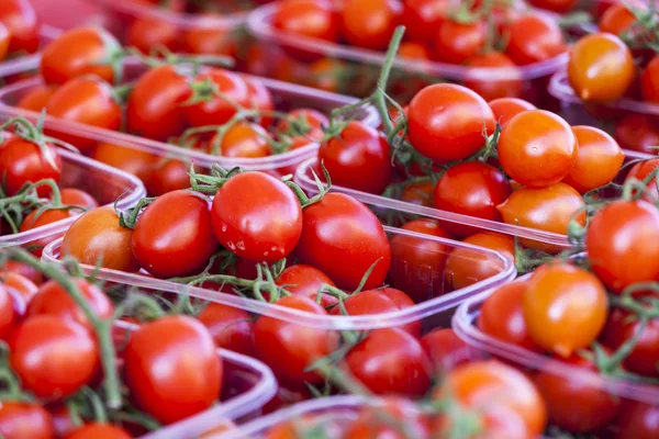 Zralá červená rajčata na trhu čítač — Stock fotografie