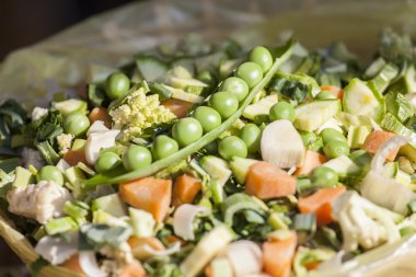 Salata, çorba veya sebze güveç yemek pişirmek için taze sebze karışımı