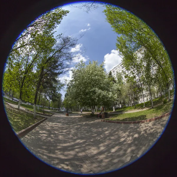 Poesjkino, Rusland, op 13 mei 2015. De boulevard in het centrum, fisheye uitzicht — Stockfoto
