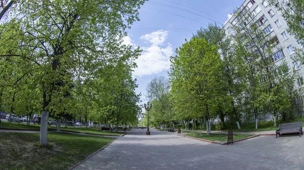 Pushkino, Rússia, em 13 de maio de 2015. Uma paisagem da cidade da mola, árvores no bulevar, vista do fisheye — Fotografia de Stock