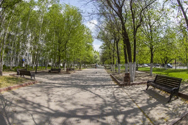 Pushkino, Rússia, em 13 de maio de 2015. Uma paisagem da cidade da mola, árvores no bulevar, vista do fisheye — Fotografia de Stock