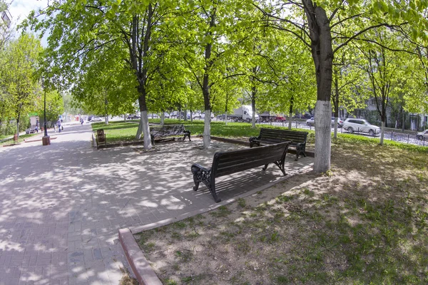 Pushkino, russland, am 13. Mai 2015. eine frühlingshafte stadtlandschaft, bäume im boulevard, fisheye view — Stockfoto