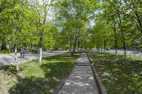 Pushkino, Russia, il 13 maggio 2015. Un paesaggio urbano primaverile, alberi nel viale, vista fisheye — Foto Stock