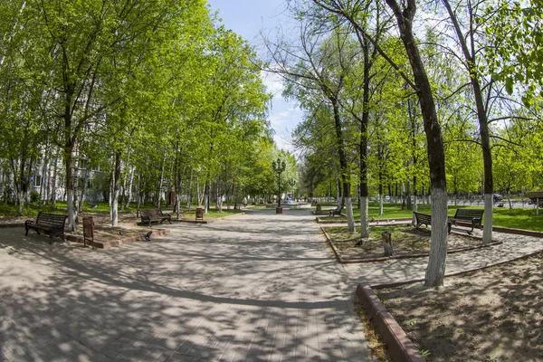 Pushkino, Ryssland, den 13 maj 2015. En våren stadslandskapet, träden i boulevard, fisheye Visa — Stockfoto