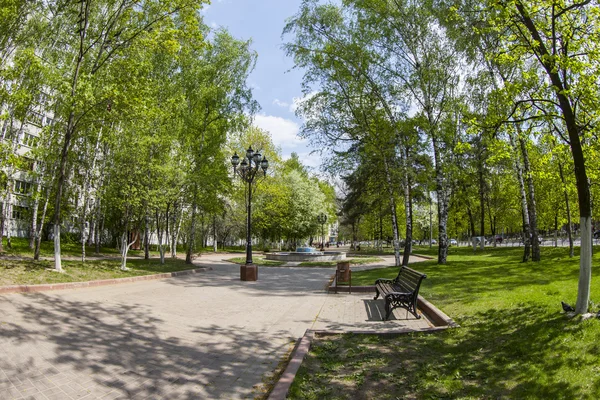 Pushkino, Rússia, em 13 de maio de 2015. Uma paisagem da cidade da mola, árvores no bulevar, vista do fisheye — Fotografia de Stock